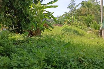 Bungalow land @ bukit Tunku Kenny hills for sale