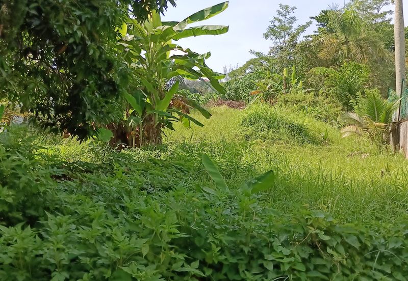 Bungalow land @ bukit Tunku Kenny hills for sale