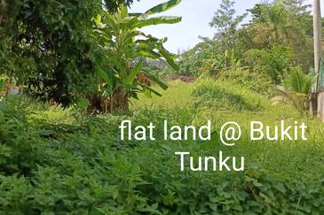 Bungalow land @ bukit Tunku Kenny hills for sale