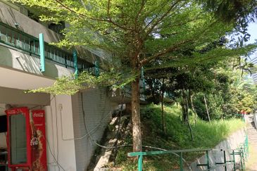 Bungalow land @ bukit tunku Kenny hills for sale 