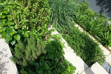 Rimbun @ Embassy Row