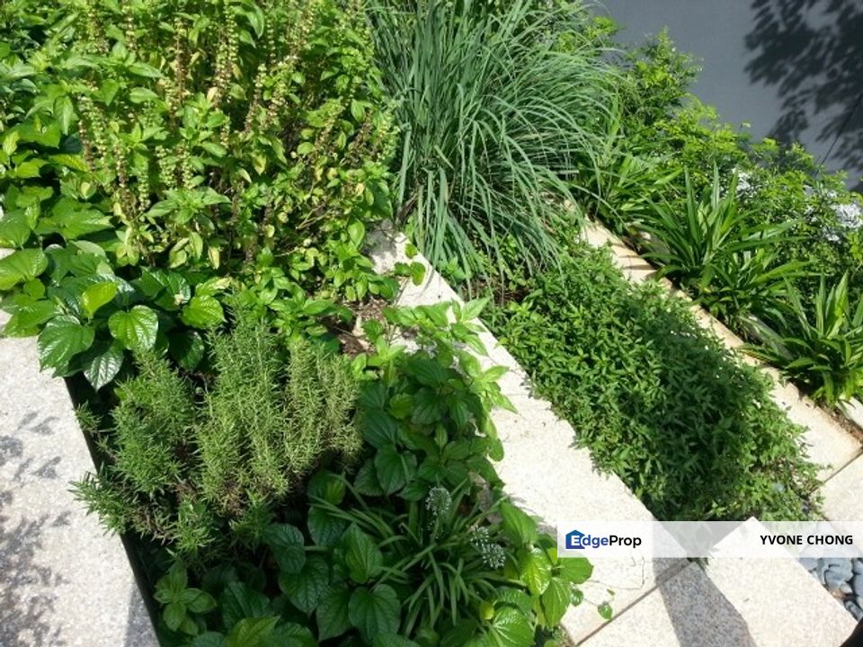 rimbun condo @ ampang hilir uthant to let, Kuala Lumpur, Ampang Hilir