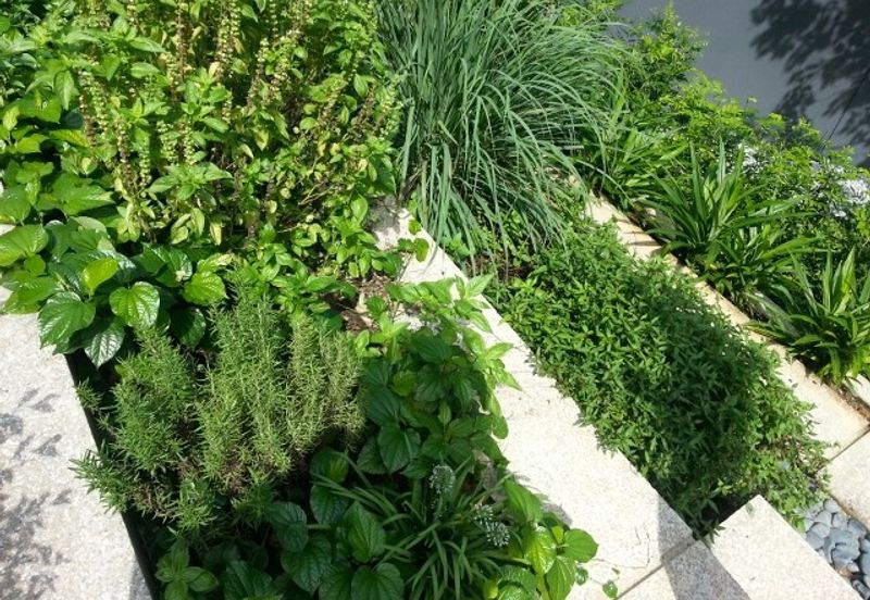 Rimbun @ Embassy Row