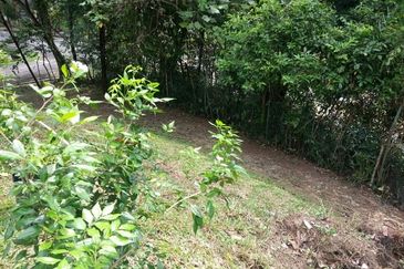 Single storey  Bungalow to let in bukit tunku