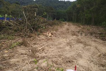 1.5 acres Broga agriculture land