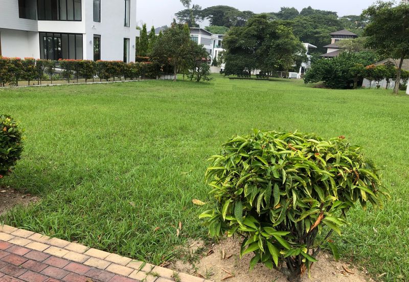 The Lotus of The Mines