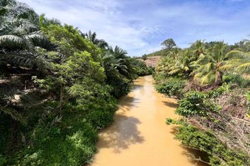 492 acres Oil Palm Esate @ Kepis, Kuala Pilah Negeri Sembilan