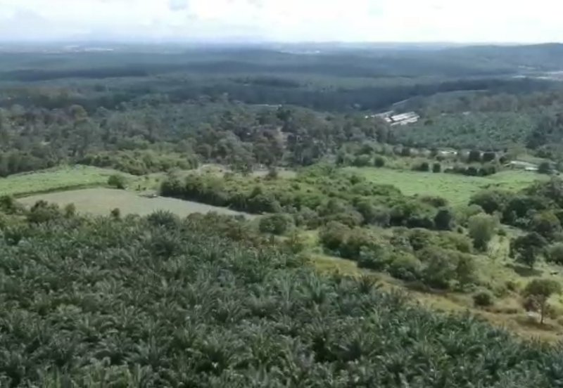 14 acres Development land at Kulai Jaya Johor