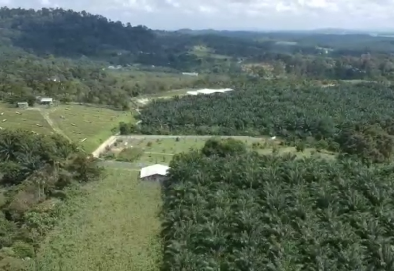 14 acres Development land at Kulai Jaya Johor