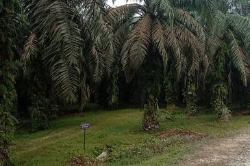 Bandar Sungai Petani