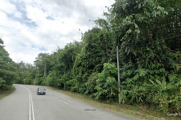 41.6 acres agriculture land planted with Gaharu trees