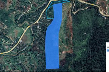 41.6 acres agriculture land planted with Gaharu trees