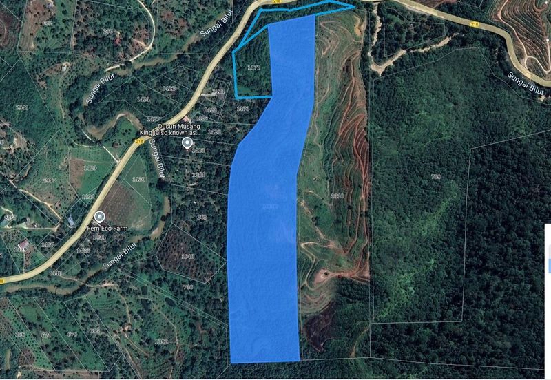 41.6 acres agriculture land planted with Gaharu trees