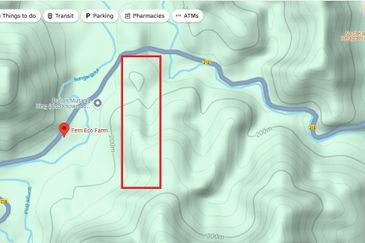 41.6 acres agriculture land planted with Gaharu trees
