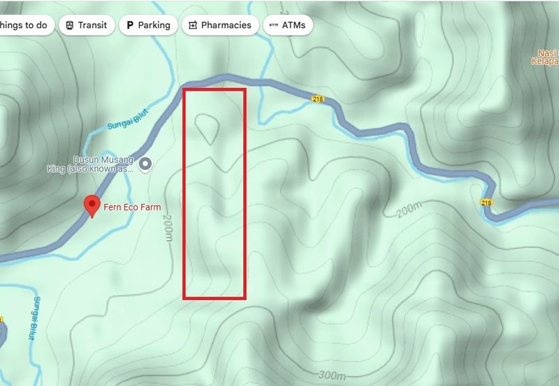 41.6 acres agriculture land planted with Gaharu trees