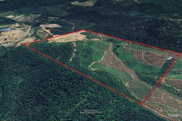 Rembau 81 acres Freehold Durian Orchard