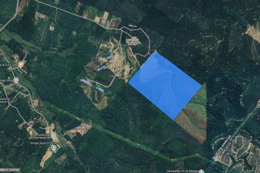 Rembau 81 acres Freehold Durian Orchard
