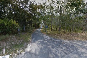 Rembau 81 acres Freehold Durian Orchard