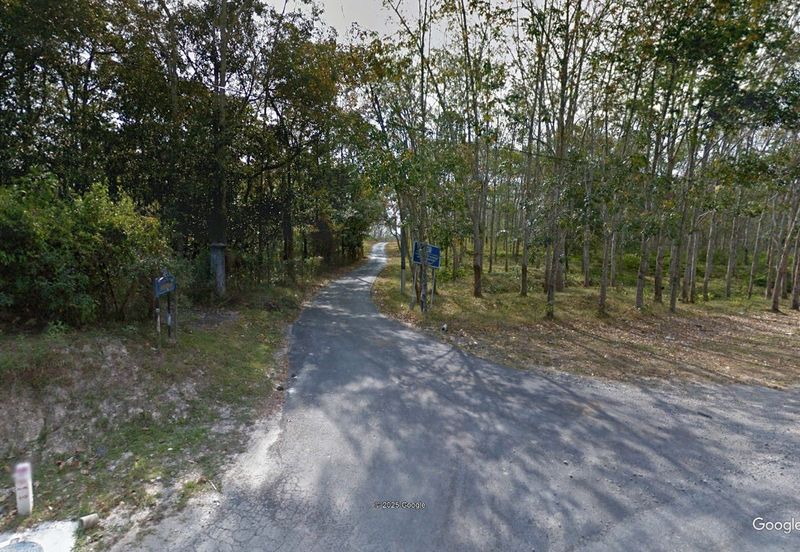 Rembau 81 acres Freehold Durian Orchard