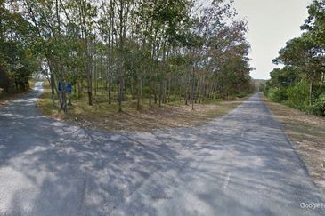 Rembau 81 acres Freehold Durian Orchard