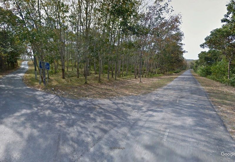 Rembau 81 acres Freehold Durian Orchard