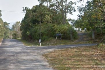 Rembau 81 acres Freehold Durian Orchard