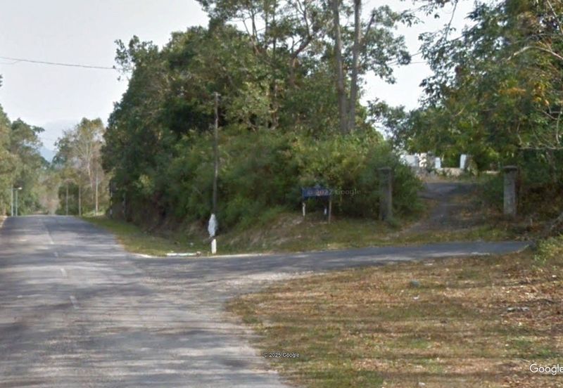 Rembau 81 acres Freehold Durian Orchard