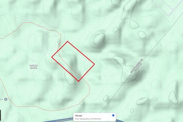 Rembau 81 acres Freehold Durian Orchard