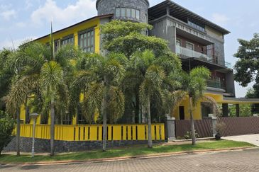 The Lotus of The Mines