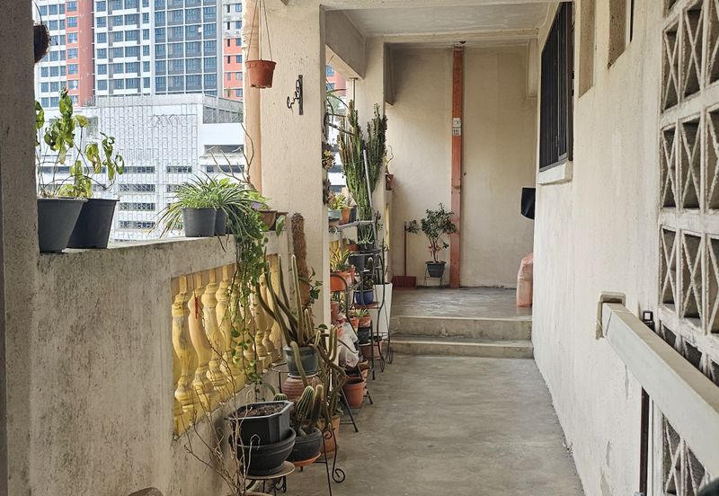 Palma Perak, Seksyen 6 Kota Damansara