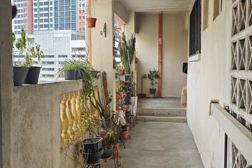 Palma Perak, Seksyen 6 Kota Damansara