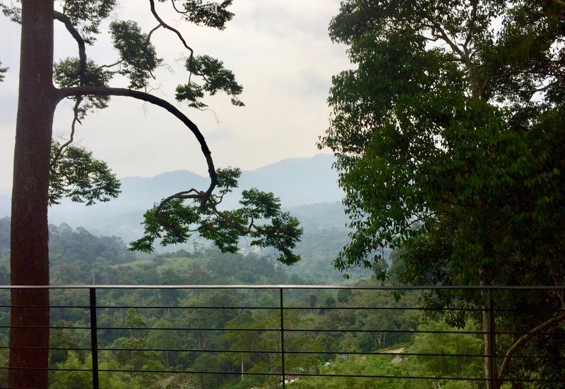 Tanarimba, Janda Baik is where you adopt the pace of nature