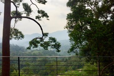 Tanarimba, Janda Baik is where you adopt the pace of nature