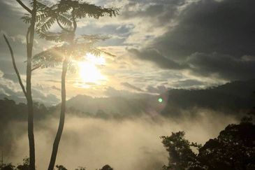 Tanarimba, Janda Baik is where you adopt the pace of nature