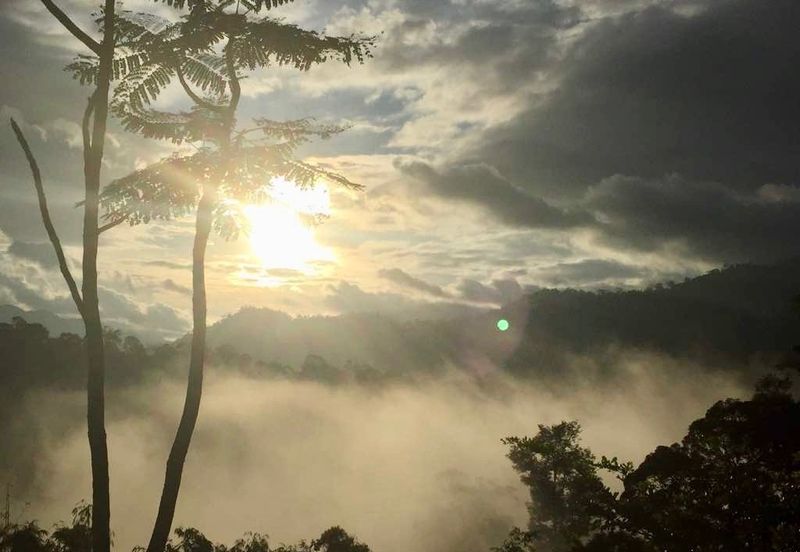 Tanarimba, Janda Baik is where you adopt the pace of nature