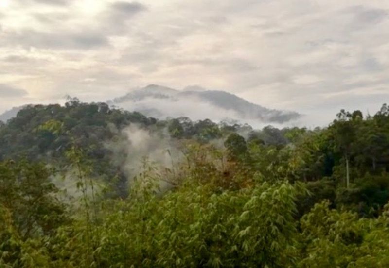 Tanarimba, Janda Baik is where you adopt the pace of nature