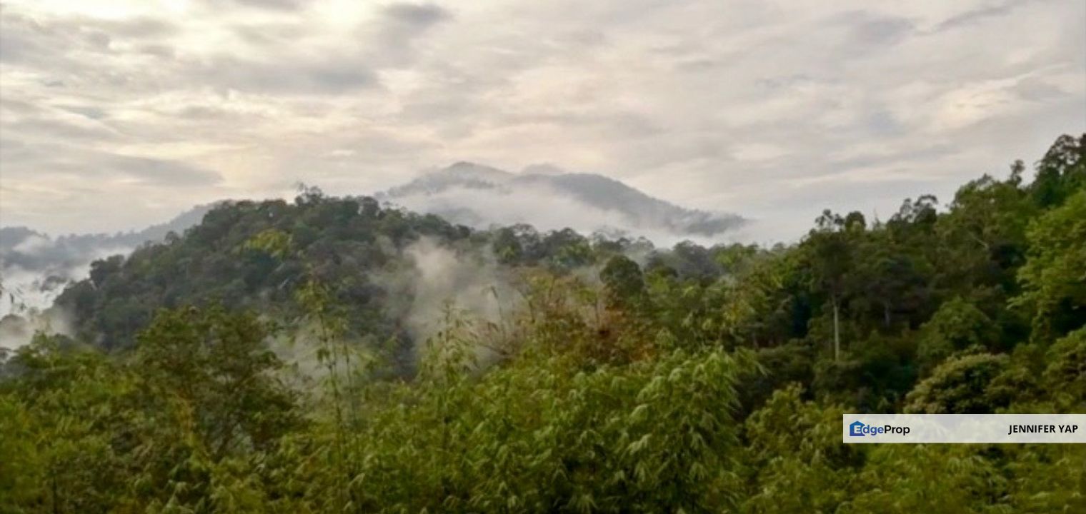 Tanarimba, Janda Baik is where you adopt the pace of nature, Pahang, Bentong
