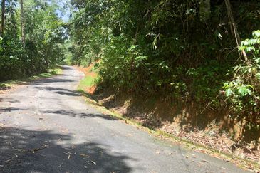 Tanarimba, Janda Baik is where you adopt the pace of nature