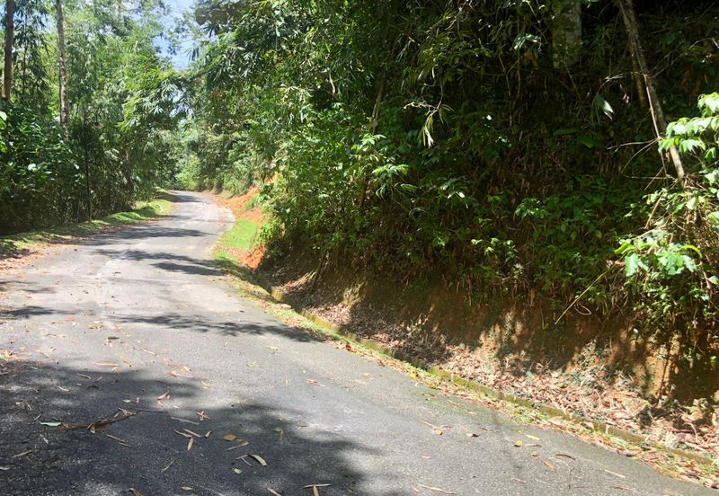 Tanarimba, Janda Baik is where you adopt the pace of nature