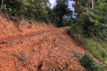 Tanarimba, Janda Baik is where you adopt the pace of nature