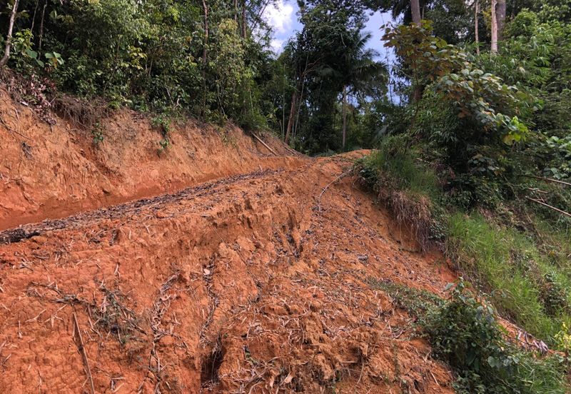 Tanarimba, Janda Baik is where you adopt the pace of nature