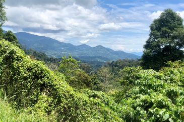 Tanarimba, Janda Baik is where you adopt the pace of nature