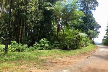 Tanarimba, Janda Baik is where you adopt the pace of nature