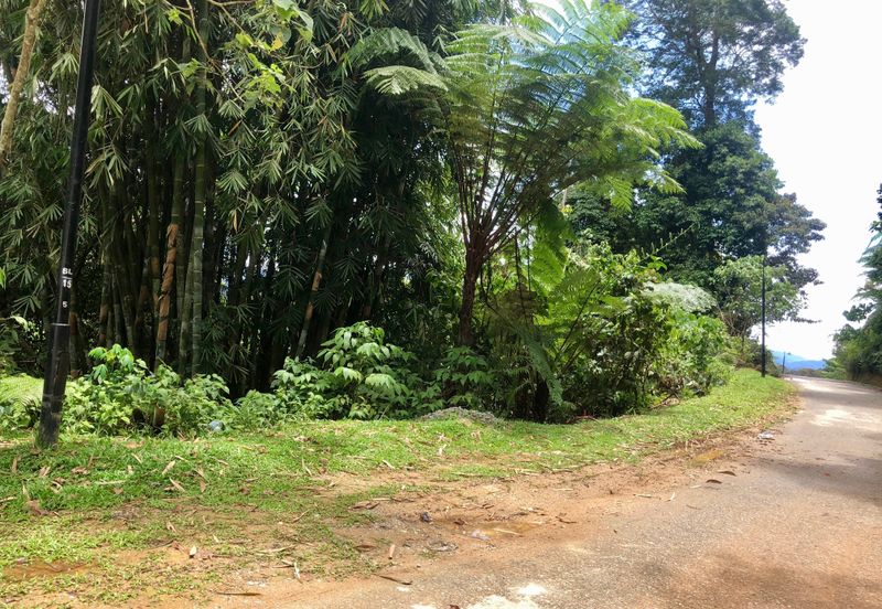 Tanarimba, Janda Baik is where you adopt the pace of nature