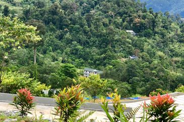 Tanarimba, Janda Baik is where you adopt the pace of nature