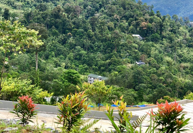 Tanarimba, Janda Baik is where you adopt the pace of nature