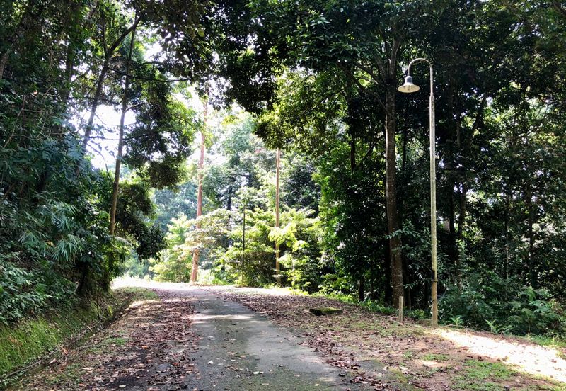 Tanarimba, Janda Baik is where you adopt the pace of nature