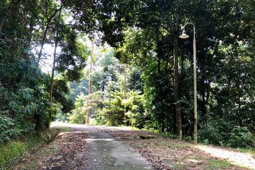 Tanarimba, Janda Baik is where you adopt the pace of nature