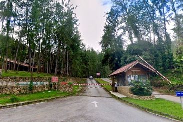 Tanarimba, Janda Baik is where you adopt the pace of nature