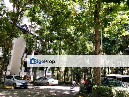 Villa indah in Bukit Tinggi, A Home in the Woods, Pahang, Bentong